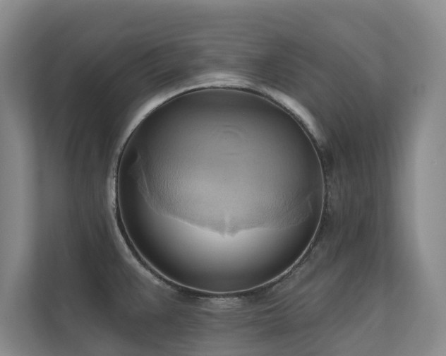 X0000110681383200906121157