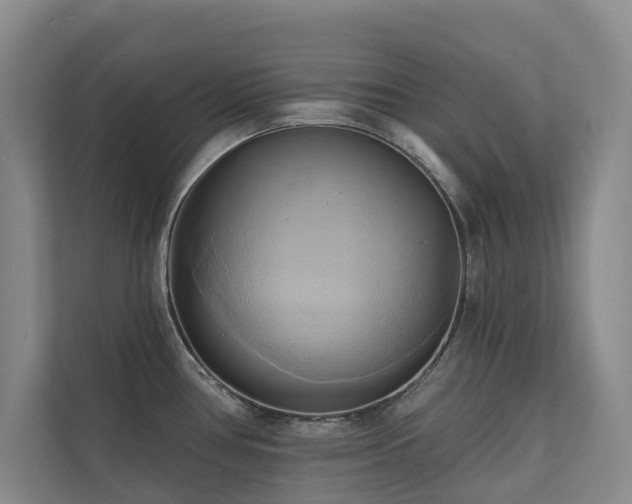 X0000110681386200906121157