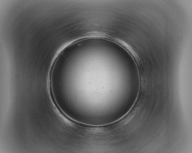 X0000110681387200906121157