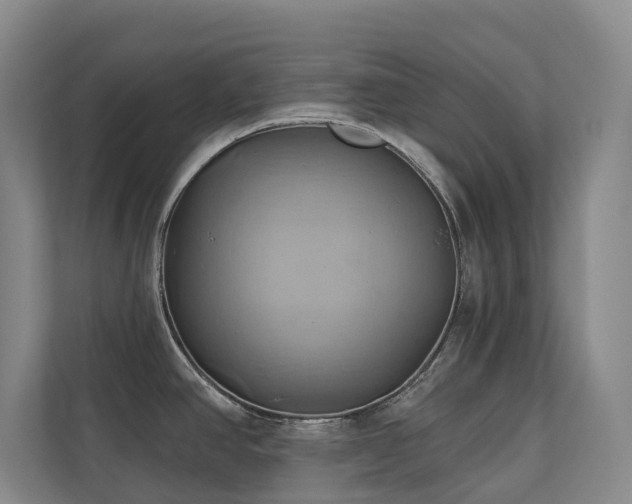 X0000110681390200906121157