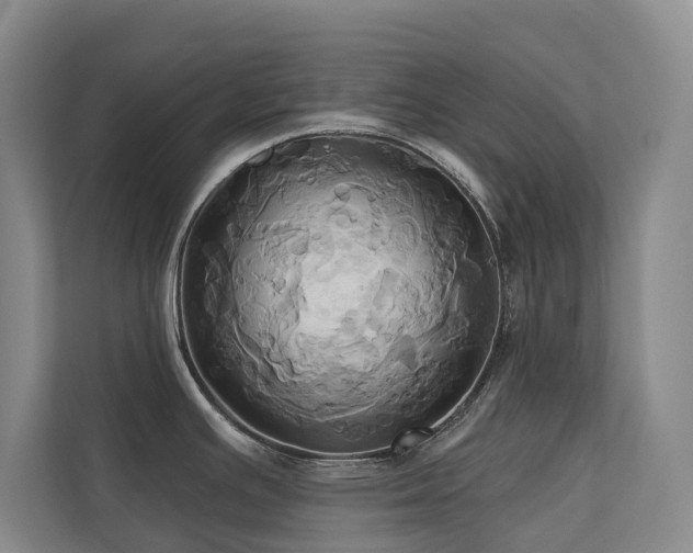 X0000110681391200906121157