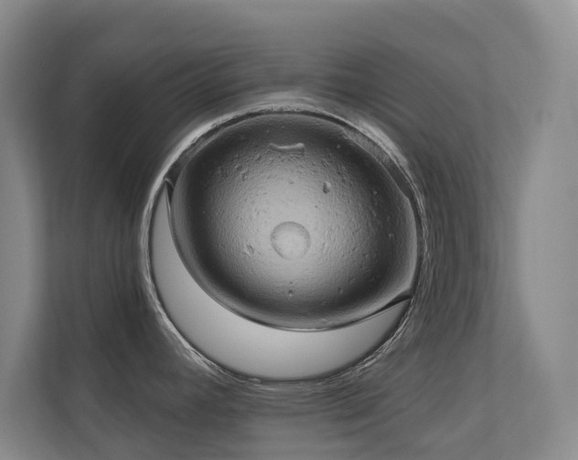 X0000110681392200906121157