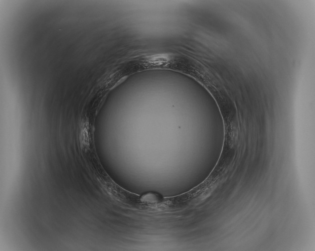 X0000110681394200906121156