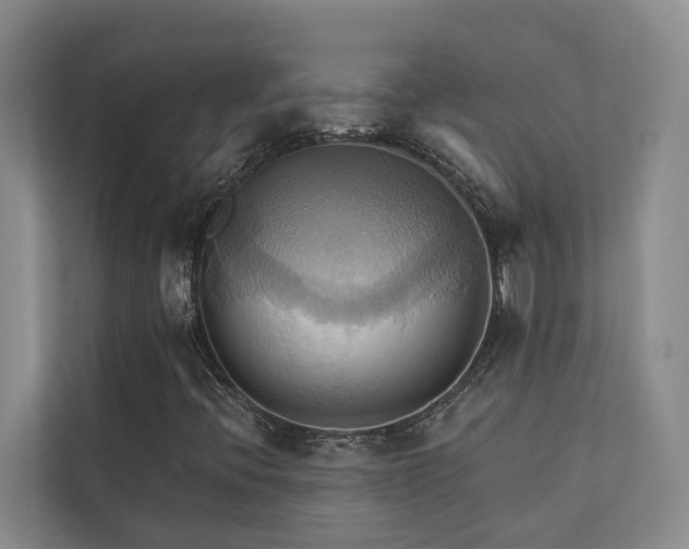 X0000110681396200906121156