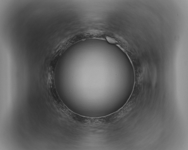 X0000110681397200906121156
