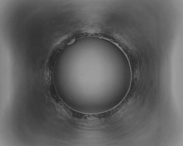 X0000110681398200906121156
