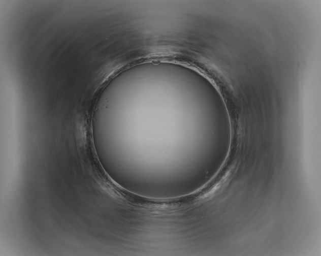 X0000110681401200906121156