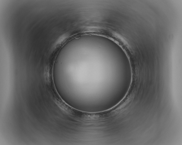 X0000110681403200906121156
