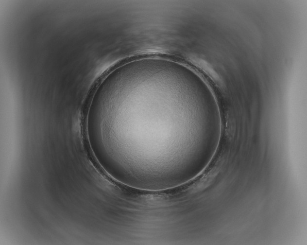 X0000110681404200906121156