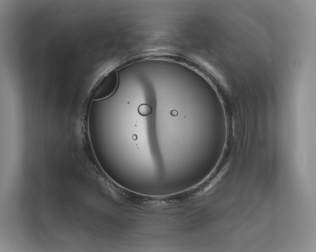 X0000110681405200906121156