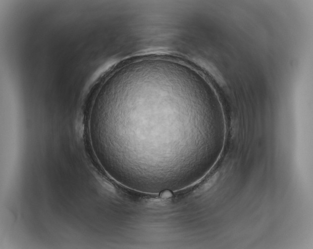 X0000110681406200906121156