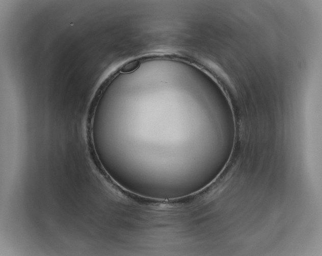 X0000110681412200906121157
