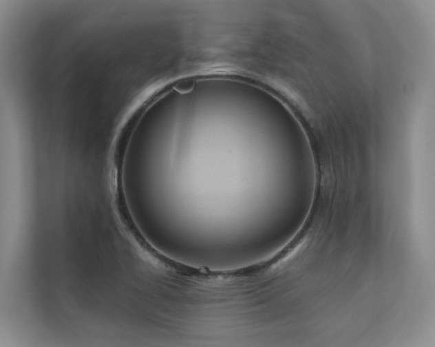 X0000110681414200906121157