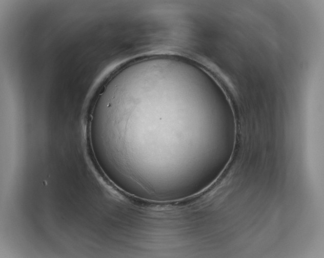 X0000110681416200906121157