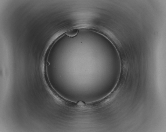 X0000110681418200906121157
