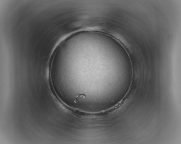 X0000110681420200906121157