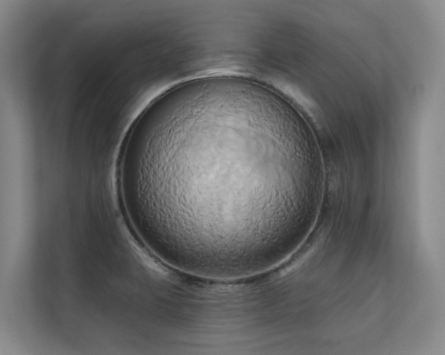 X0000110681423200906121157