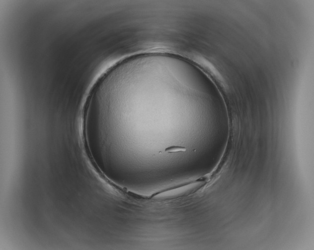 X0000110681424200906121157