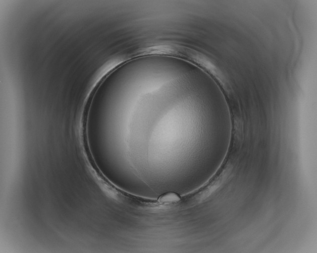 X0000110681426200906121157