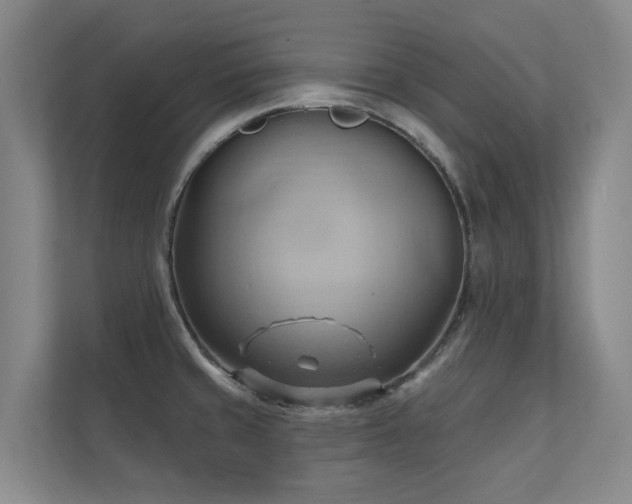 X0000110681429200906121157