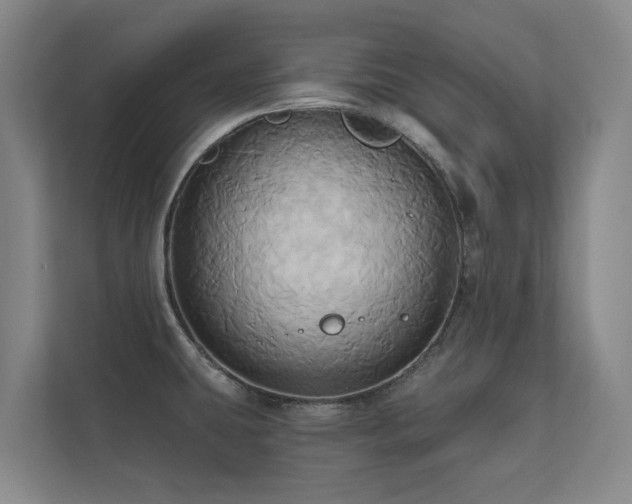 X0000110681431200906121157