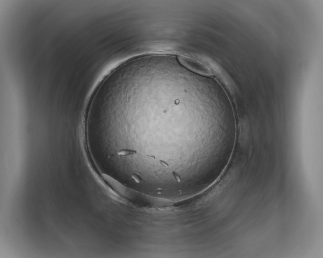X0000110681432200906121157