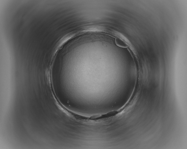 X0000110681433200906121157