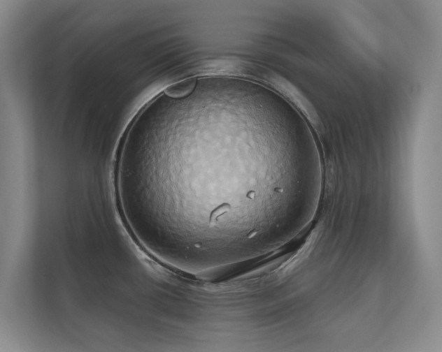 X0000110681434200906121157