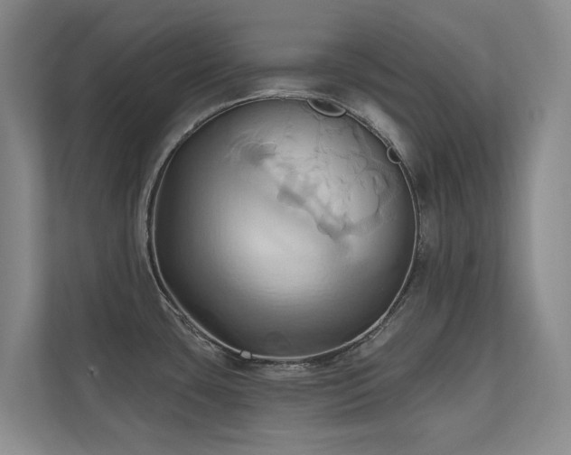 X0000110681435200906121157
