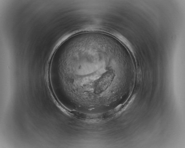 X0000110681437200906121157