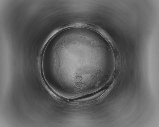 X0000110681438200906121157