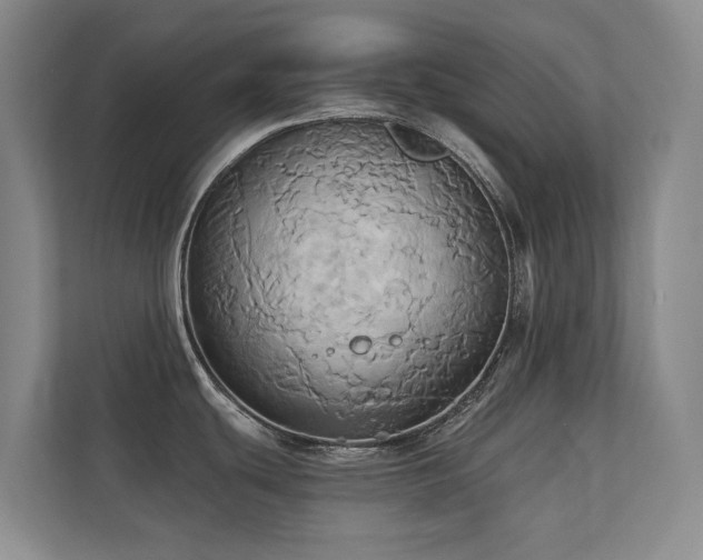 X0000110681439200906121157