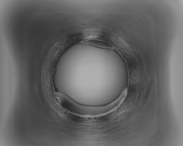 X0000110681441200906121156