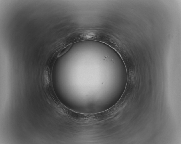 X0000110681442200906121156