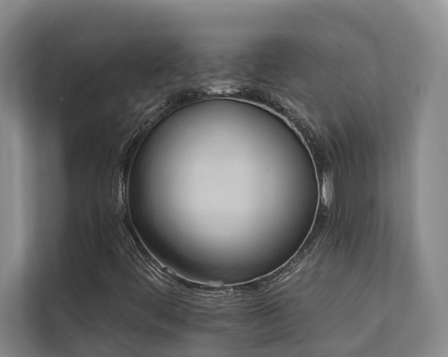 X0000110681444200906121156