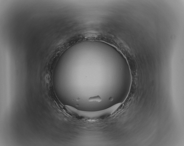 X0000110681445200906121156