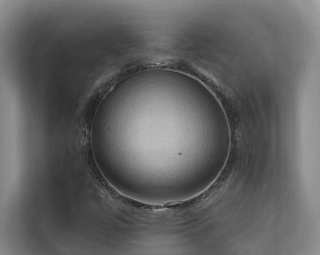 X0000110681447200906121156