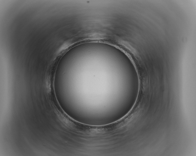 X0000110681451200906121156