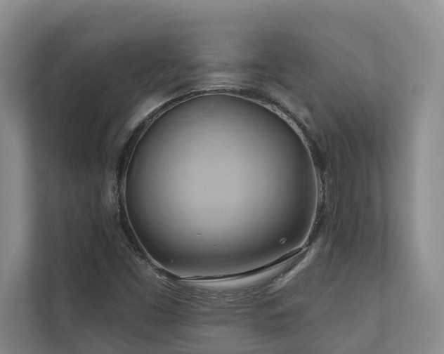 X0000110681453200906121156