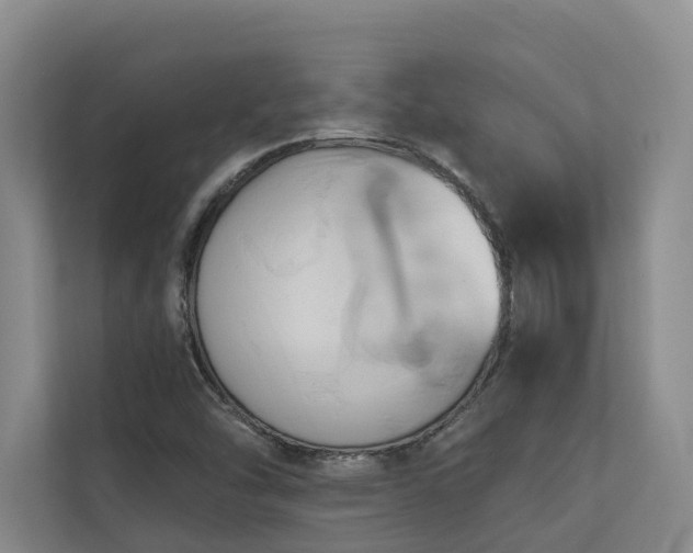 X0000110681454200906121156