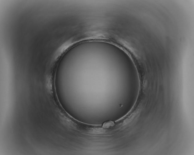 X0000110681455200906121156