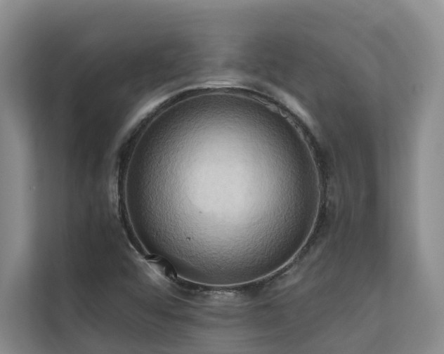 X0000110681456200906121156