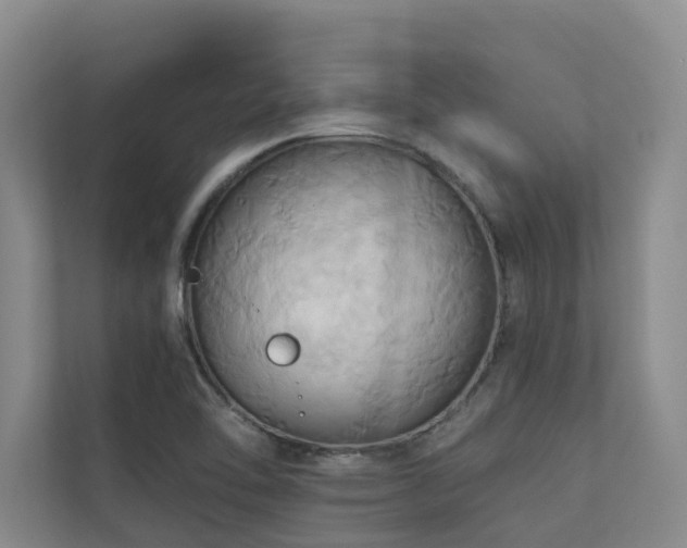 X0000110681462200906121156