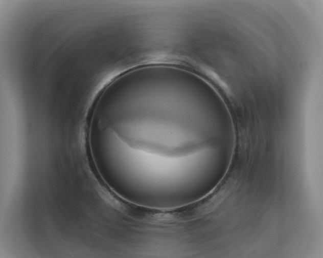 X0000110681463200906121156