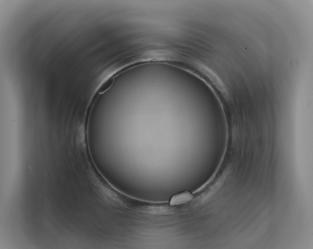 X0000110681465200906121156