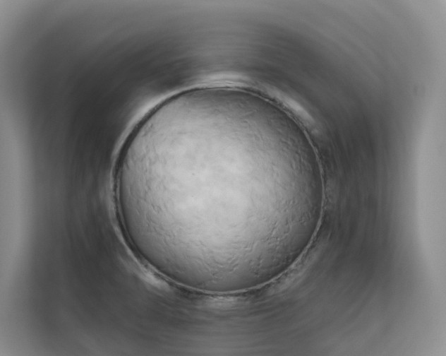 X0000110681470200906121156