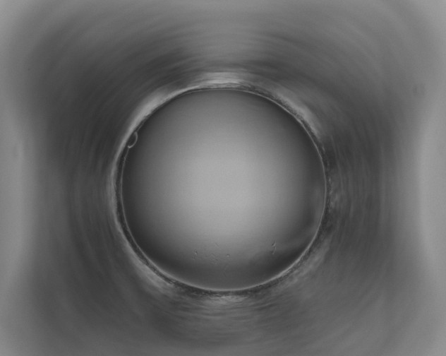 X0000110681475200906121156