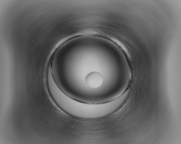 X0000110681477200906121156