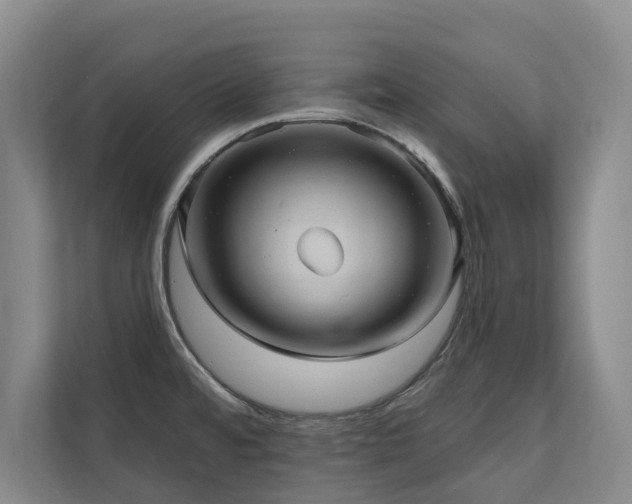 X0000110681480200906121156