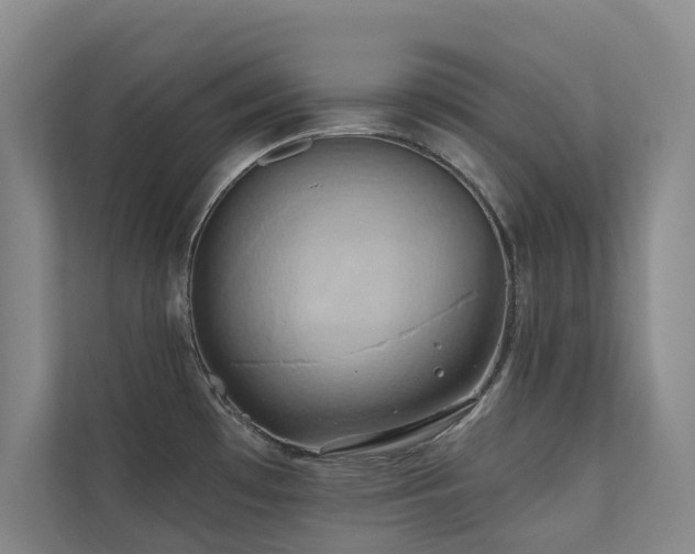 X0000110681481200906121156